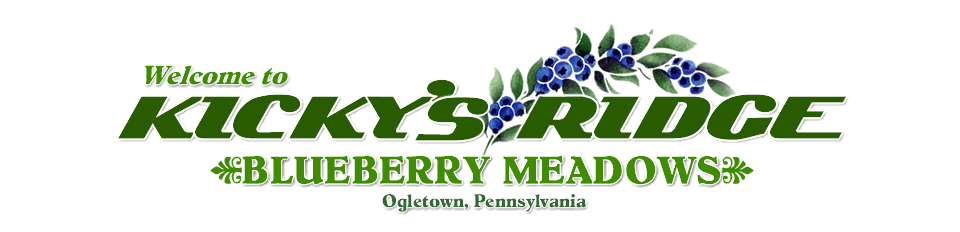 Blueberry Meadows Mountain Chalet Ogletown PA